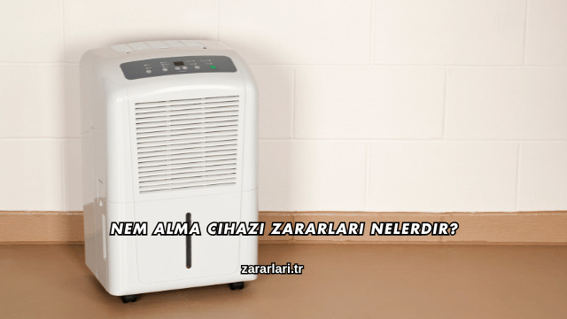 Nem Alma Cihazı Zararları Nelerdir?