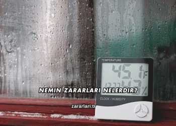 Nemin Zararları Nelerdir?