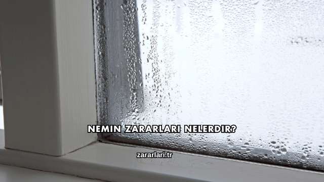 Nemin Zararları Nelerdir?