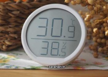 Nemli Havanın Zararları Nelerdir?