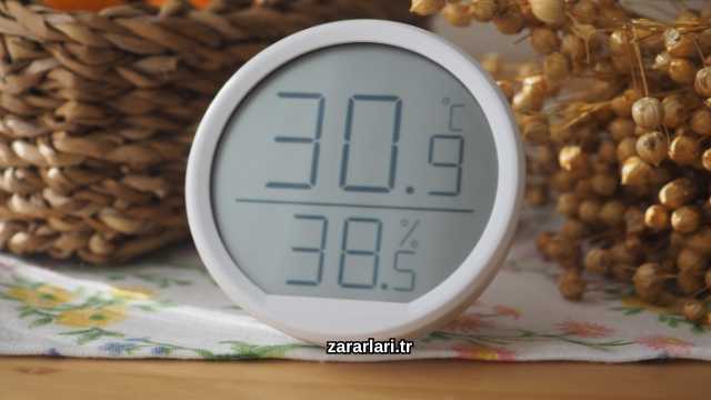 Nemli Havanın Zararları Nelerdir?