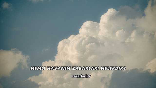 Nemli Havanın Zararları Nelerdir?