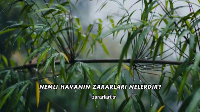 Nemli Havanın Zararları Nelerdir?