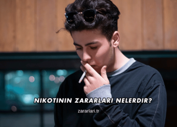 Nikotinin Zararları Nelerdir?