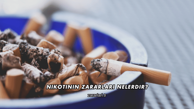 Nikotinin Zararları Nelerdir?
