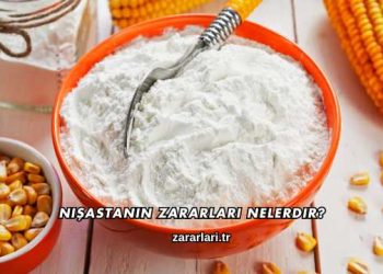 Nişastanın Zararları Nelerdir?