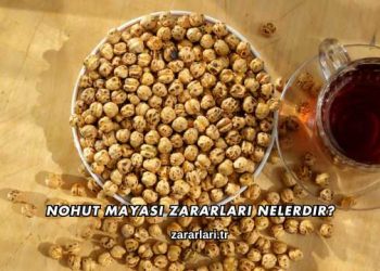 Nohut Mayası Zararları Nelerdir?