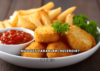 Nugget Zararları Nelerdir?
