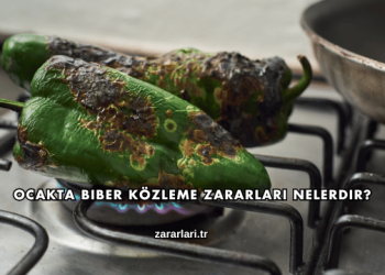 Ocakta Biber Közleme Zararları Nelerdir?