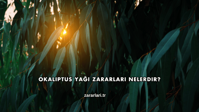 Okaliptus Yağı Zararları Nelerdir?