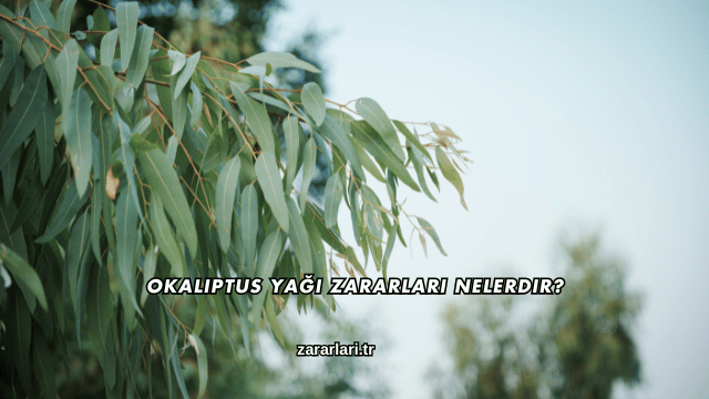 Okaliptus Yağı Zararları Nelerdir?