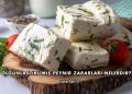 Olgunlaştırılmış Peynir Zararları Nelerdir?