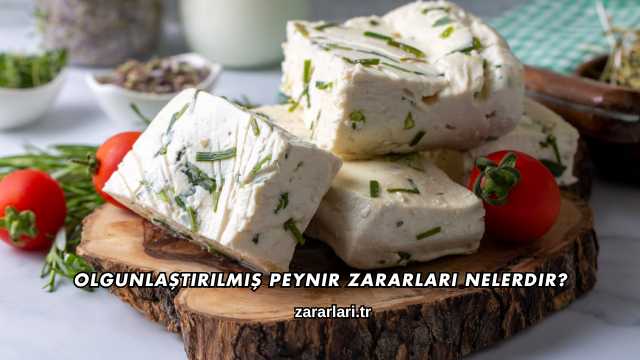 Olgunlaştırılmış Peynir Zararları Nelerdir?
