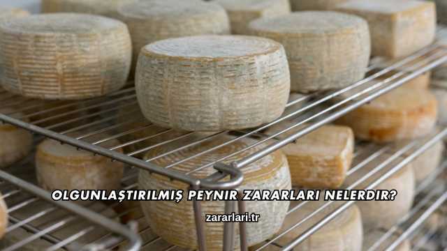 Olgunlaştırılmış Peynir Zararları Nelerdir?