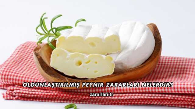 Olgunlaştırılmış Peynir Zararları Nelerdir?
