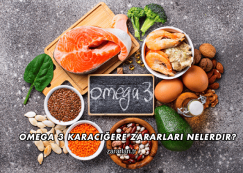 Omega 3 Karaciğere Zararları Nelerdir?