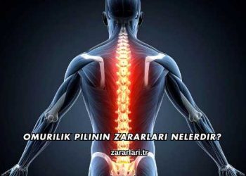 Omurilik Pilinin Zararları Nelerdir