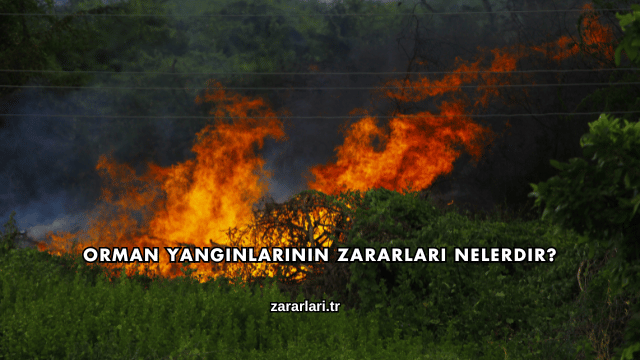 Orman Yangınlarının Zararları Nelerdir?