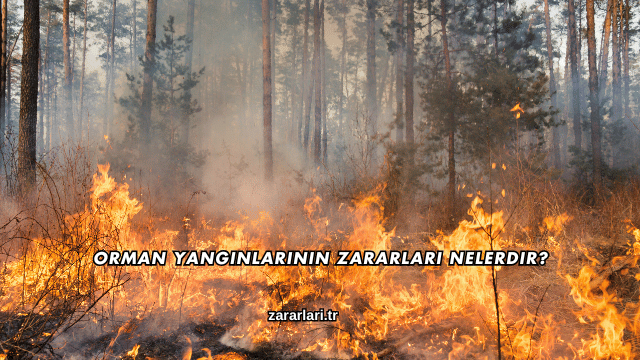 Orman Yangınlarının Zararları Nelerdir?