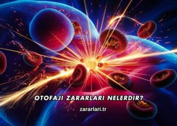 Otofaji Zararları Nelerdir?