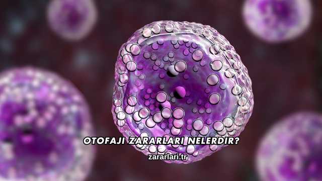 Otofaji Zararları Nelerdir?