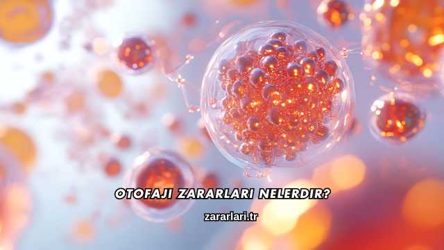 Otofaji Zararları Nelerdir?