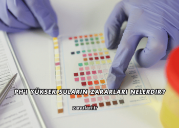 PH'ı Yüksek Suların Zararları Nelerdir?