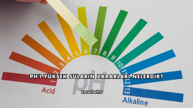 PH'ı Yüksek Suların Zararları Nelerdir?