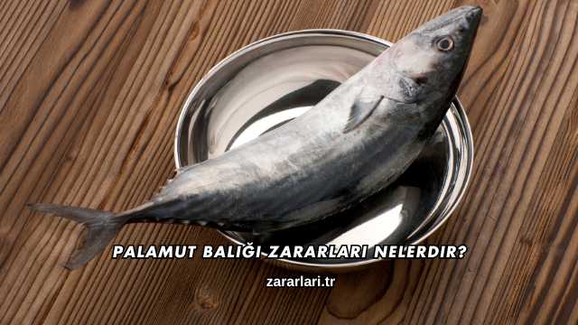 Palamut Balığı Zararları Nelerdir?