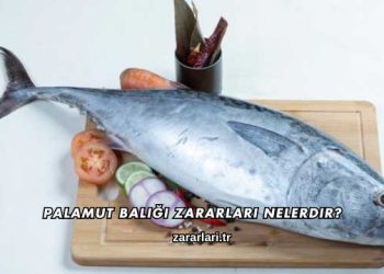 Palamut Balığı Zararları Nelerdir?