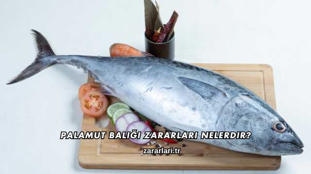 Palamut Balığı Zararları Nelerdir?