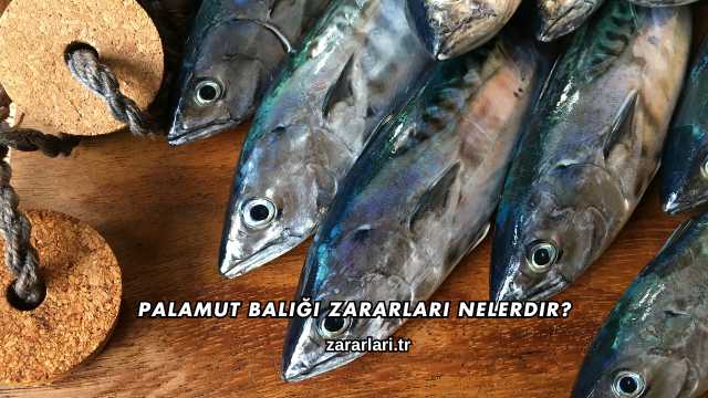Palamut Balığı Zararları Nelerdir?