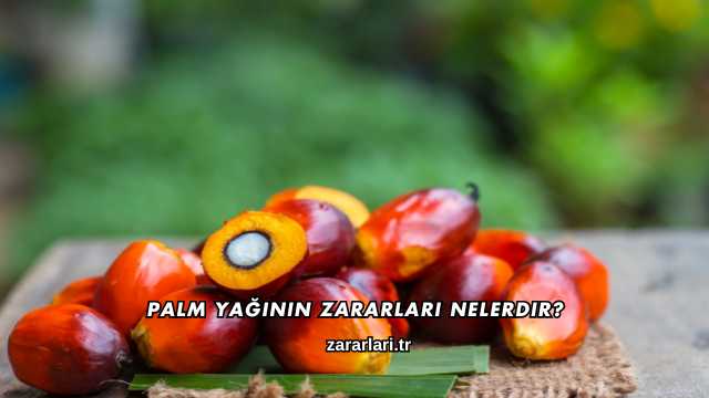 Palm Yağının Zararları Nelerdir?