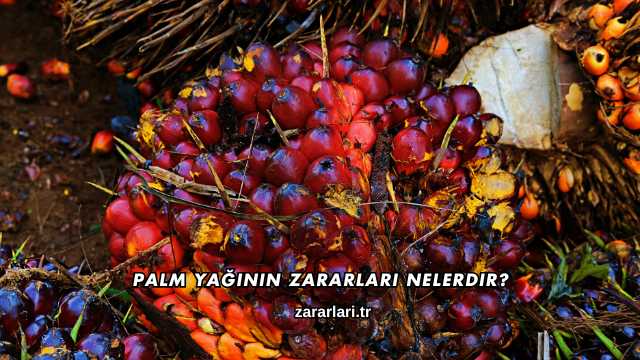 Palm Yağının Zararları Nelerdir?