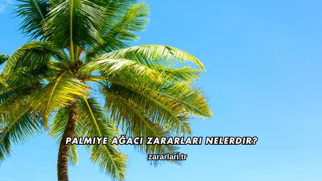 Palmiye Ağacı Zararları Nelerdir?
