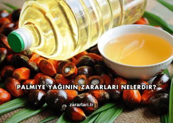Palmiye Yağının Zararları Nelerdir?