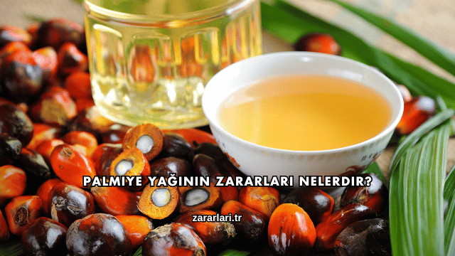 Palmiye Yağının Zararları Nelerdir?