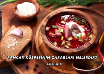 Pancar Küspesinin Zararları Nelerdir?