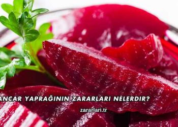 Pancar Yaprağının Zararları Nelerdir?