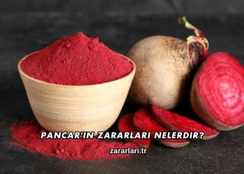 Pancar'ın Zararları Nelerdir?