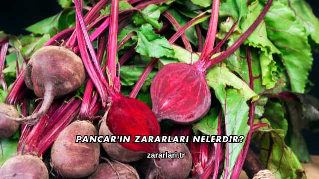 Pancar'ın Zararları Nelerdir?