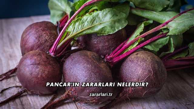 Pancar'ın Zararları Nelerdir?