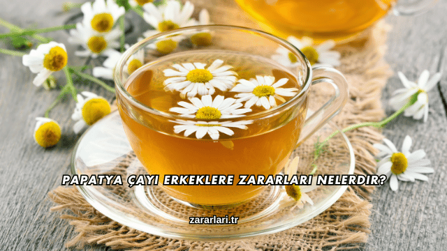 Papatya Çayı Erkeklere Zararları Nelerdir?