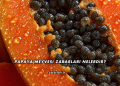 Papaya Meyvesi Zararları Nelerdir?