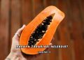 Papaya Zararları Nelerdir?