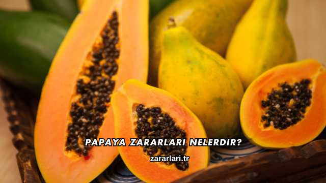 Papaya Zararları Nelerdir?
