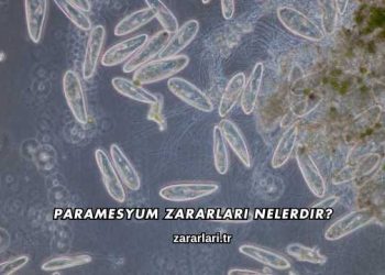 Paramesyum Zararları Nelerdir?