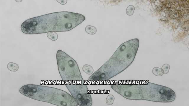 Paramesyum Zararları Nelerdir?