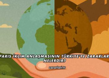Paris İklim Anlaşmasının Türkiye'ye Zararları Nelerdir?