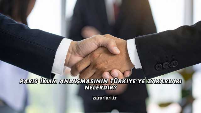 Paris İklim Anlaşmasının Türkiye'ye Zararları Nelerdir?